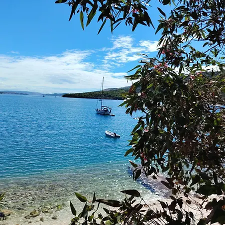 Dodig Marina (Bossoglina)