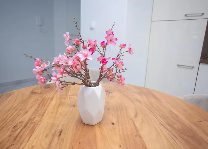 Apartman Dodig Marina